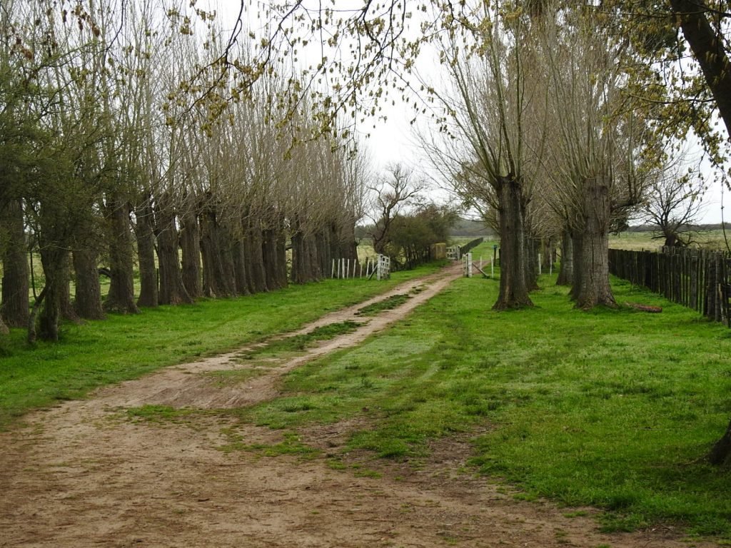 44has AGRICOLAS en Magdalena