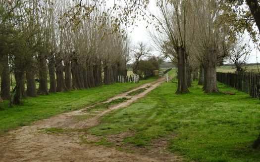 44has AGRICOLAS en Magdalena