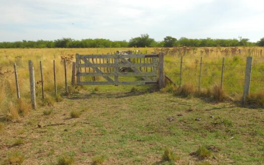 40has Mixtas SOBRE RUTA 36