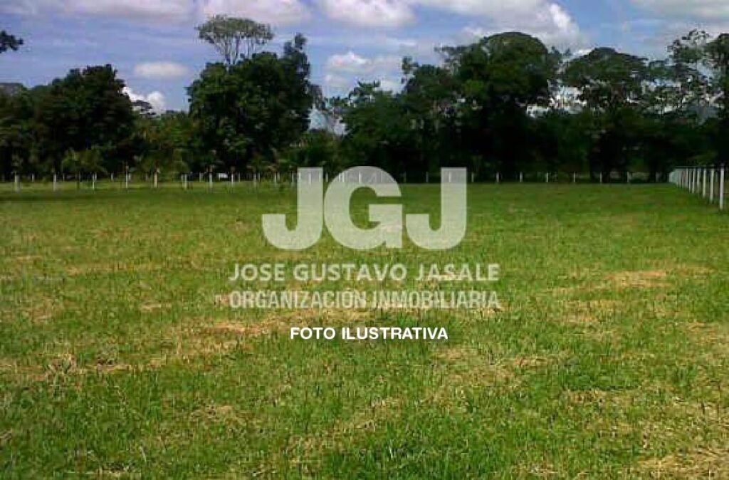 7has Atalaya, Magdalena. SOBRE ASFALTO