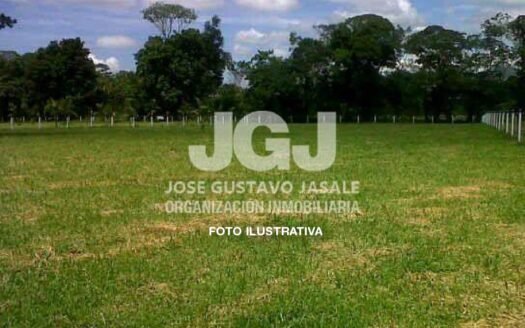 7has Atalaya, Magdalena. SOBRE ASFALTO