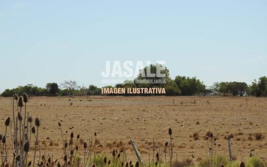 560Has SOBRE RUTA 20