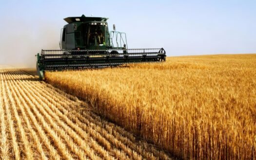 65Has AGRICOLAS