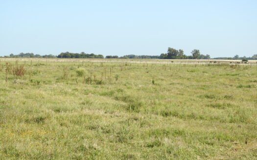 280has Campo de cria